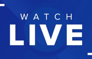 News19: El año en el deporte