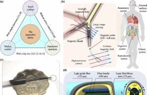 El robot biomédico más pequeño del mundo avanza en el diagnóstico y tratamiento intervencionista