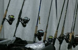 Turing Fishing en un estilo de vida en Rockford's Boat and Fishing Show