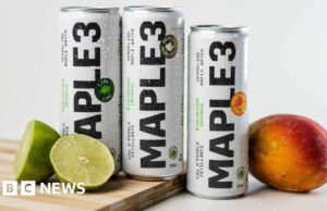 ¿Pueden los canadienses obtener la savia mundial de bebés?