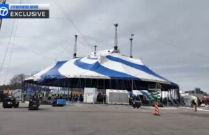 NYC Entertainment: Cirque du Soleil Preparándose para su regreso a la ciudad de Nueva York en la isla de Randall después de 6 años de pausa: exclusivo