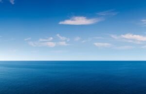 La ballena '52 -hertz 'es el animal más solitario del mundo, aquí es lo que sabemos