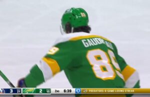 Minnesota Wild vs. New York Islanders