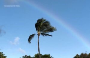 Hawaii es la capital mundial del arco iris. Esto es lo que eso significa