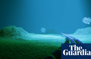 Meta planea vincular a los Estados Unidos e India con el proyecto de cable submarino más largo del mundo | Meta