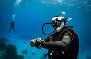 Una oportunidad de negocio sin explotar de mil millones de dólares a través de la protección de los sitios de buceo del mundo