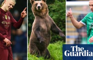 La desalentadora tarea de Plymouth y los hombres que piensan que podrían conquistar un oso | Fútbol americano