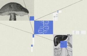 La edición de genes aún puede cambiar el mundo