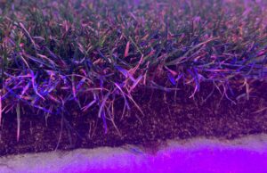 'Traeremos Tennessee al mundo'