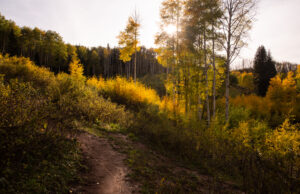 Encontrar belleza en un mundo roto