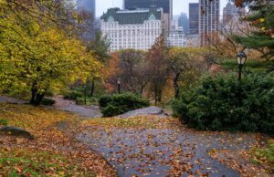 ¿Qué ciudades tienen el espacio más verde del mundo?