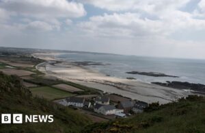 Concurso de arte infantil para celebrar el mundo natural de Jersey