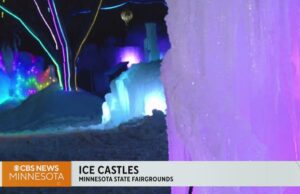 Rockin 'Tunes, Blooming Flowers y las mejores apuestas de entretenimiento de febrero