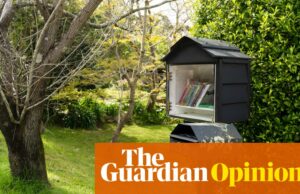 En un mundo de abrumador elección, me encanta la selección de libros en mi biblioteca de calle local | Jane Howard