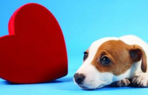 Eventos de hoy para el 15 de febrero | Entretenimiento