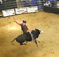 Bre será el anfitrión de Full Slate of Entertainment en 2025 | El ojo de halcón – Burlington, Iowa