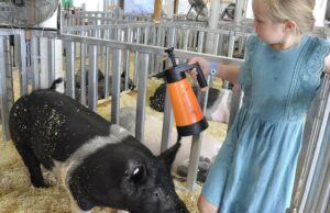 La Feria del Condado de Jefferson anuncia la alineación de entretenimiento 2025