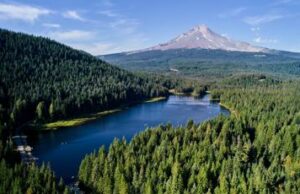 Formas simples de ser más sostenible en 2025