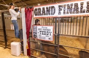 Calendario de entretenimiento repleto este fin de semana en Ocala/Marion