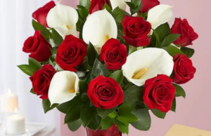 20 ideas de regalos de San Valentín para amigos, mujeres, hombres, niños y más