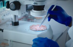 Las primeras golosinas para mascotas de carne cultivadas en laboratorio del mundo se lanzan en el Reino Unido