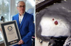 'Micro Artist' crea el bloque LEGO más pequeño del mundo, el tamaño de un glóbulo humano