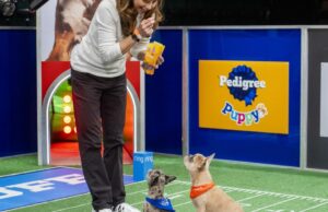 Victoria Schade tiene el mejor trabajo del mundo: Puppy Wrangler principal para el 'Puppy Bowl'