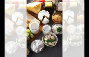 Lifestyle News Live Today 14 de febrero de 2025: Rude Food by Vir Sanghvi: A Kiss and a Curdle