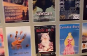 El póster de la pared del festival de cine de Arizona rompe el récord mundial