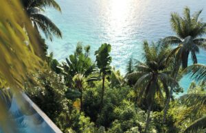 CB2 lanza una colección de estilo de vida de mal humor y tropical con el loto blanco