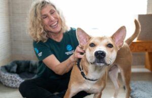 Mundo humano para animales: una visión para el futuro