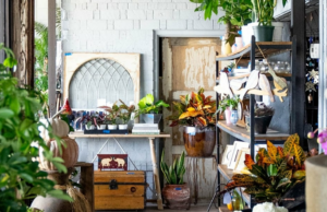 Phoenix Lifestyle Shop ofrece servicios de bienestar, productos de salud