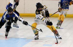 Hockey en línea Tirped por Norwin, 5-3