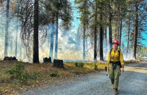 Futuro de la cobertura del cáncer para mujeres bomberos federales inciertos bajo Trump