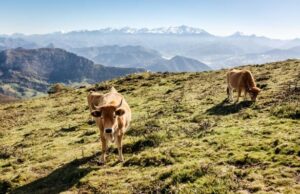 Que tengas un fin de semana relajante. | Taza de Jo