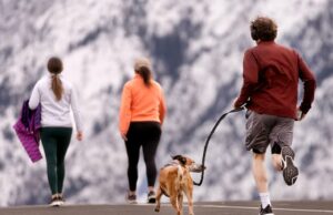 ¿El estilo de vida o los genes influyen en cuánto tiempo y bien vives? – Deseret News