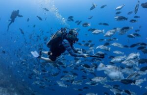 ¿En qué parte del mundo está el profesor Scott Heppell? Little Cayman | OSU hoy