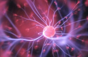 El experto en estilo de vida recomienda 8 mejores alimentos para aumentar las células madre para una mejor recuperación y salud