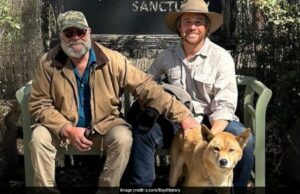 El hombre de EE. UU. Dejamos de trabajo corporativo para fotografiar perros en todo el mundo