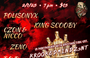 Otra fiesta de cumpleaños de entretenimiento en Waterland Arcade en Des Moines, WA – Sábado 1 de febrero