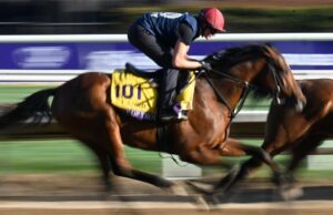 2025 Predicciones de apuestas rebeldes, probabilidades, caballos, contendientes: expertos que clavaron la copa de los criadores Picks Picks