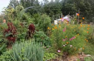 'No estaba realmente en una pista'