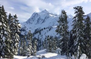 Lookout de estilo de vida: panadero, manualidades y cerveza