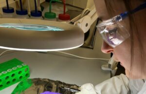 La disminución de la vitamina D de siglos de edad en Escocia desafía los cambios modernos en el estilo de vida