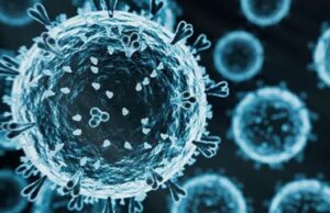 La gripe aviar es una 'amenaza existencial para la biodiversidad del mundo'