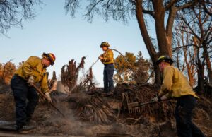 Las órdenes de Trump Dei cancelan los bootcamps de lucha silvestre de las mujeres