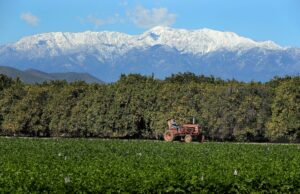 UCR clasificó alto en QS World University Rankings | Dentro de UCR