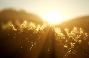 Un reflejo del Congreso del Mundo Mobile: nuestro buen día no está tan lejos
