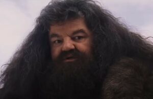 ¿Quién interpretará a Hagrid en la serie Harry Potter? Este nuevo actor desempeñará un papel importante originalmente retratado por Robbie Coltrane