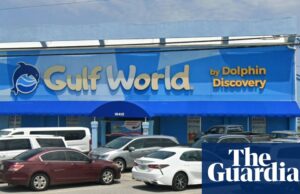 'Entre las peores condiciones': el parque temático de Florida atacó después de las muertes por delfines | Florida